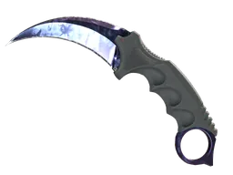 ★ Karambit | Doppler (Minimal Wear) | Ruby