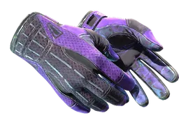 ★ Sport Gloves | Pandora's Box (Well-Worn)